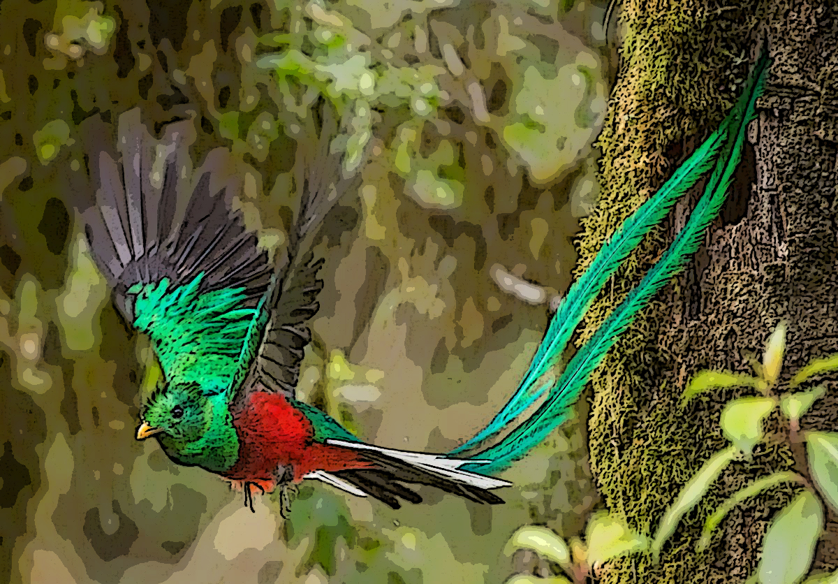 quetzal-poster