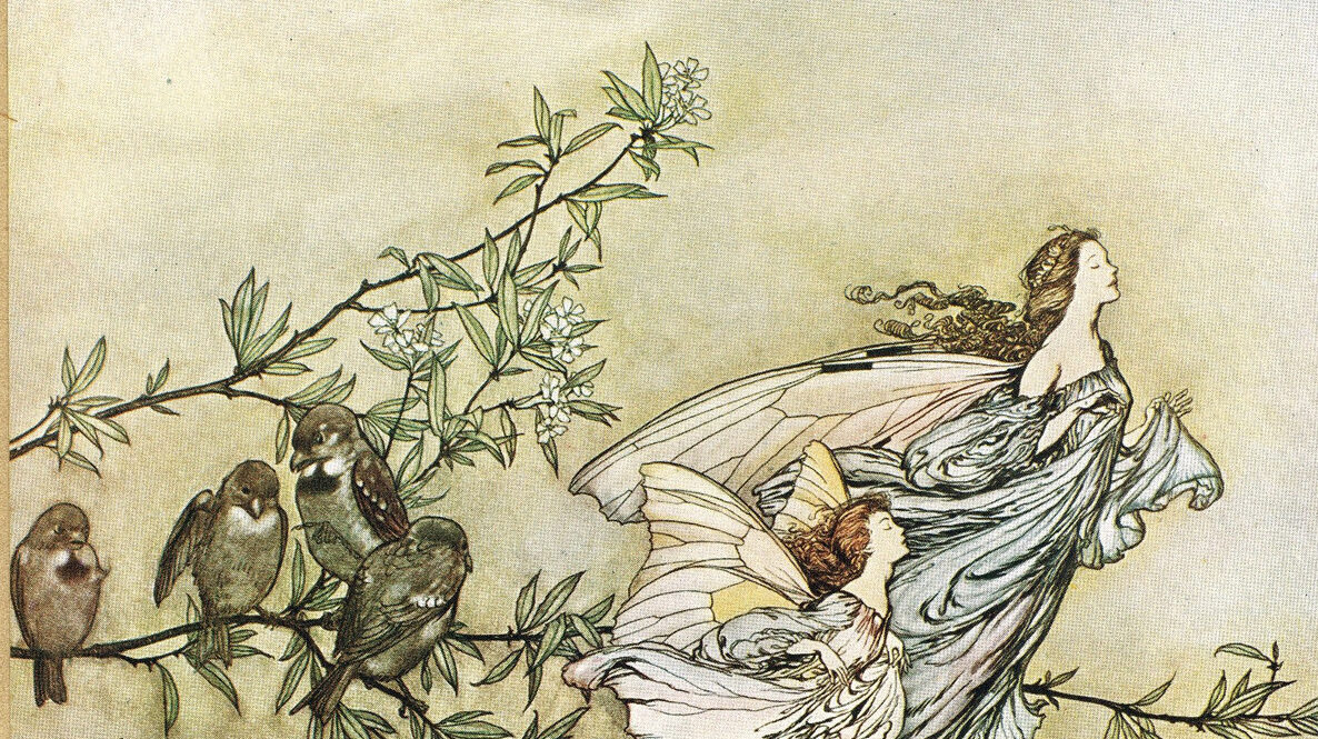 Rackham Fairy